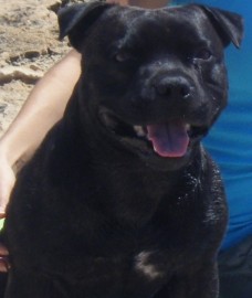 ULISES